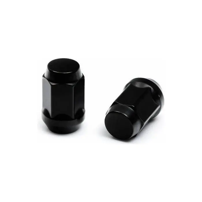 10X1.25 Lug Kit 1