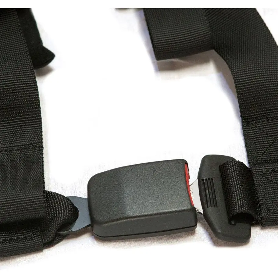 4.2 Harness (New Glory) 2
