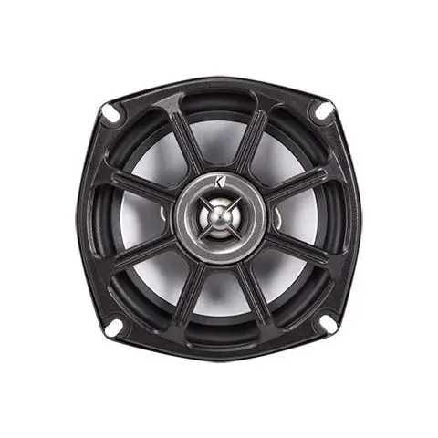 Ps 5.25" 2Ω Coaxial Speaker (2 Ohm) 1