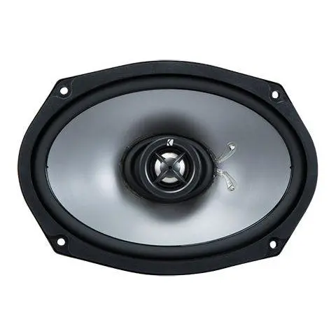 Ps 6X9" Coaxial Speaker (2 Ohm) 1
