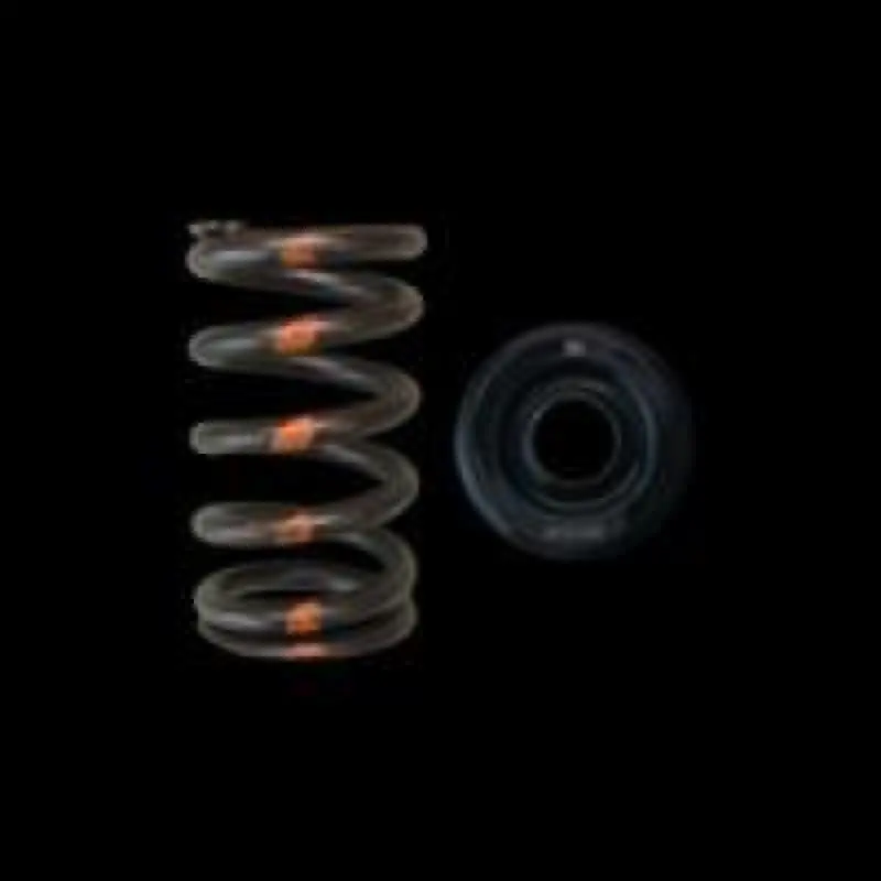 Brian Crower Mazda Mzr Valve Spring & Retainer - Steel Retainers 1
