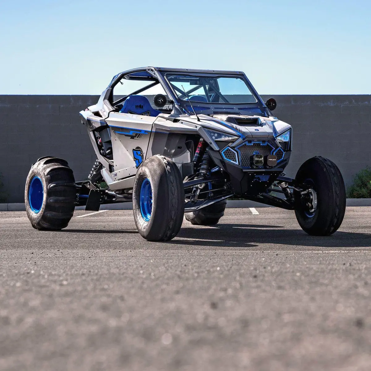 Polaris Rzr Pro R (2022-2024) Shorty Cage 1