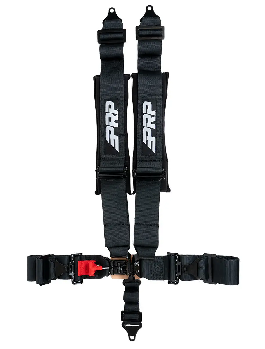 5.3 Custom Harness (Sfi 16.1) 1