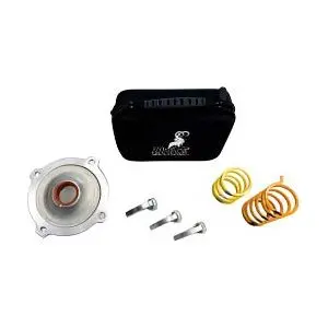 Polaris Stage 2 Clutch Kit 3