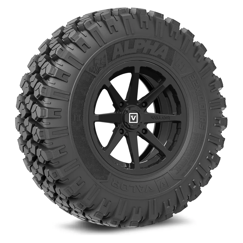 Alpha V01 Wheel & Tire Package 1