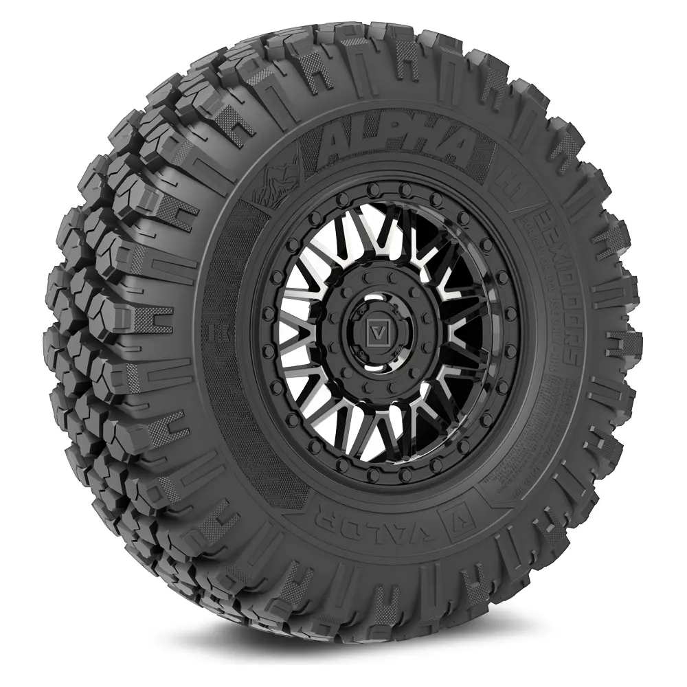 Alpha V08 (Dark Tint) Wheel & Tire Package 1