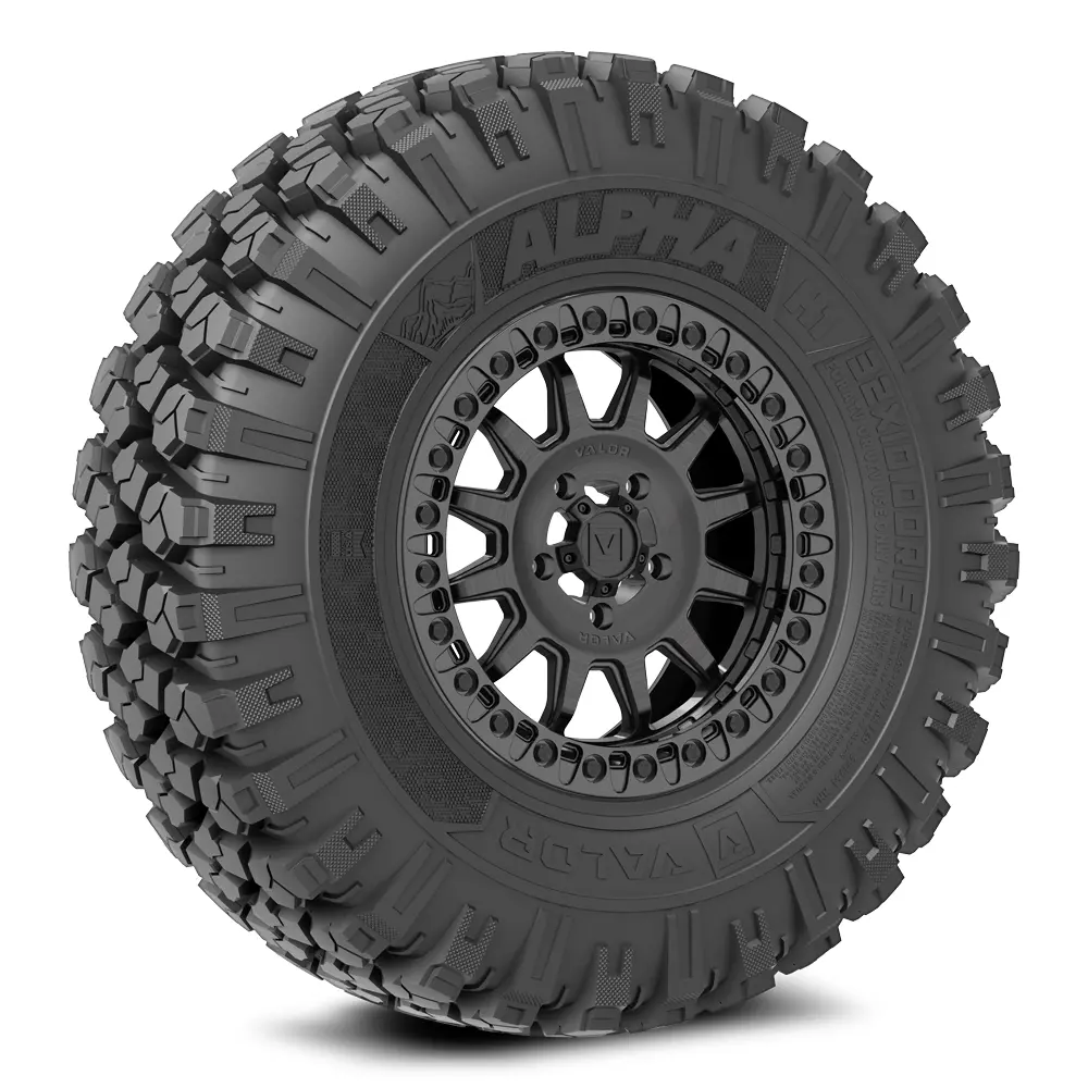Alpha V09 (Brushed Charcoal) Wheel & Tire Package 1