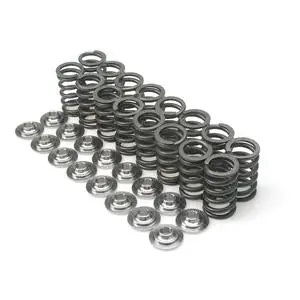 Brian Crower Nissan Sr20ve Dual Spring & Titanium Retainer Kit 1