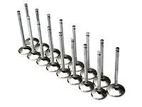Brian Crower Nissan Rb26dett 35.65Mm Intake Valves 1