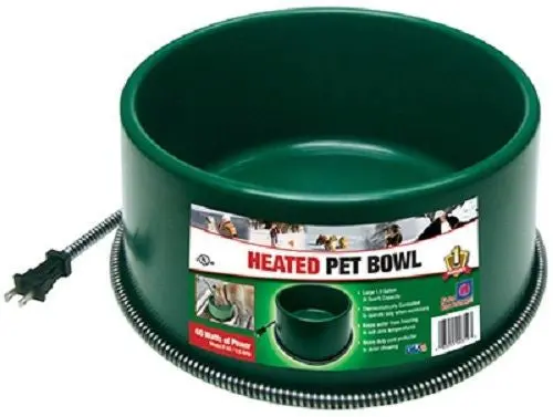 Farm Innovators P-60 1-1/2 Gallon 60W Green Heated Pet Water Bowl - Quantity Of 1 1