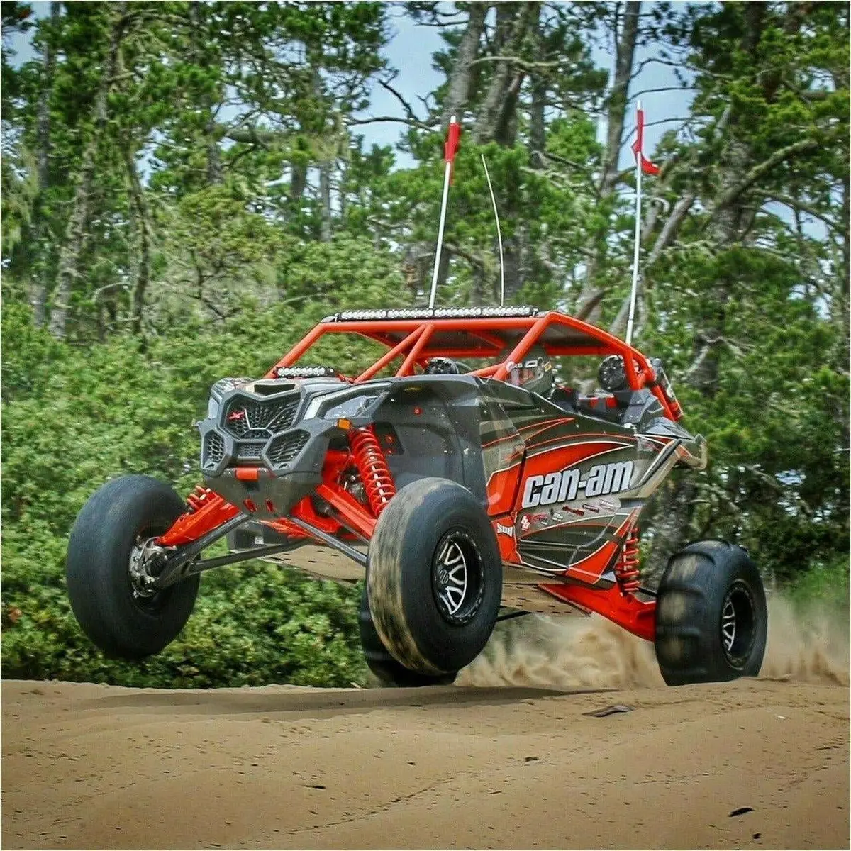 Can Am X3 Raw Shorty Cage 6