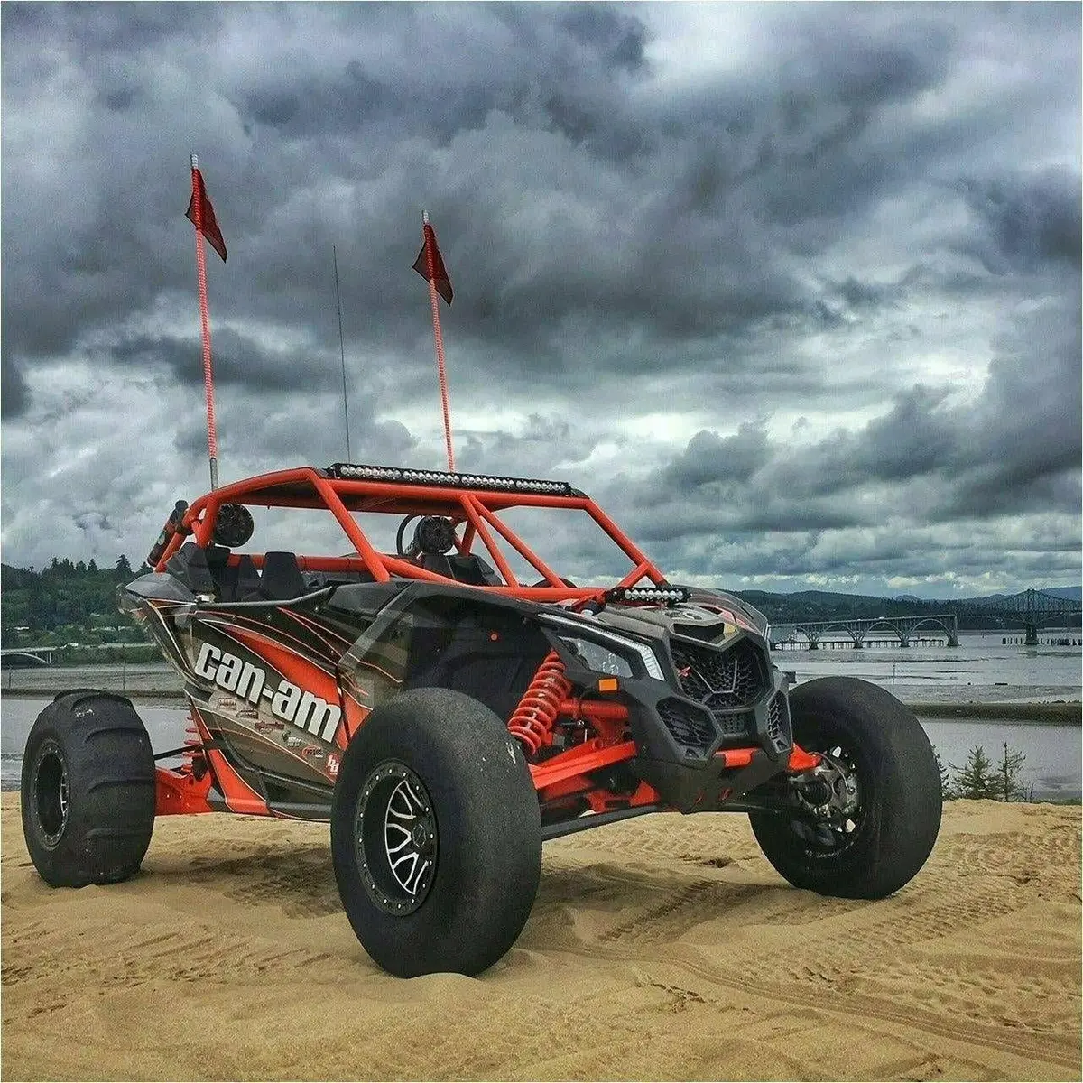 Can Am X3 Raw Shorty Cage 2