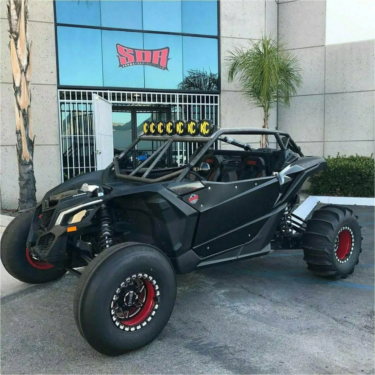 Can Am X3 Raw Shorty Cage 10