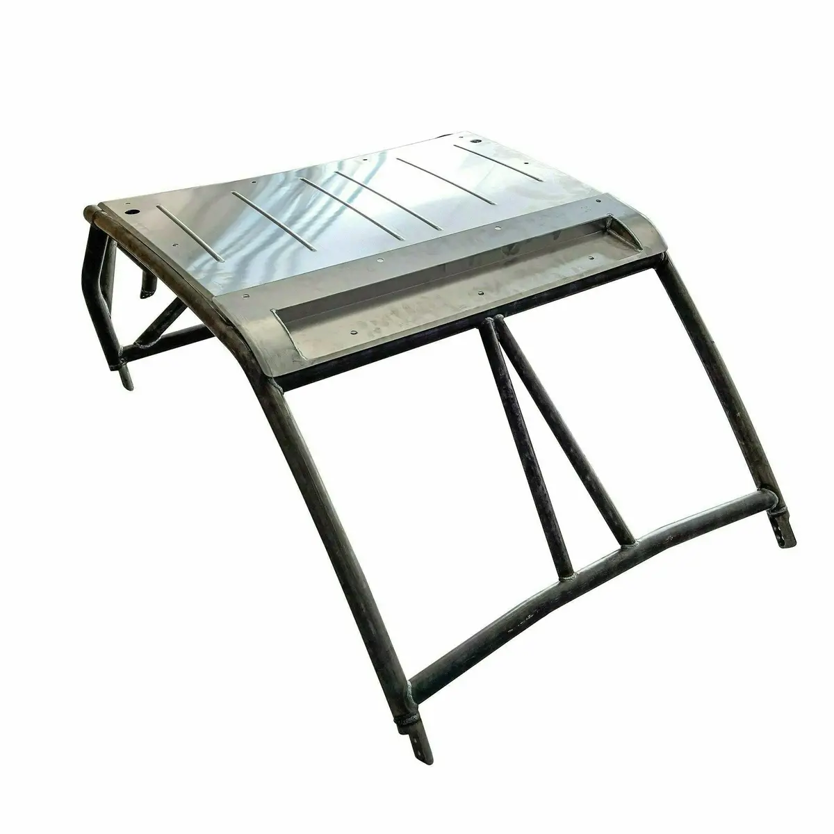 Polaris Rzr Raw Sport Shorty Cage 1