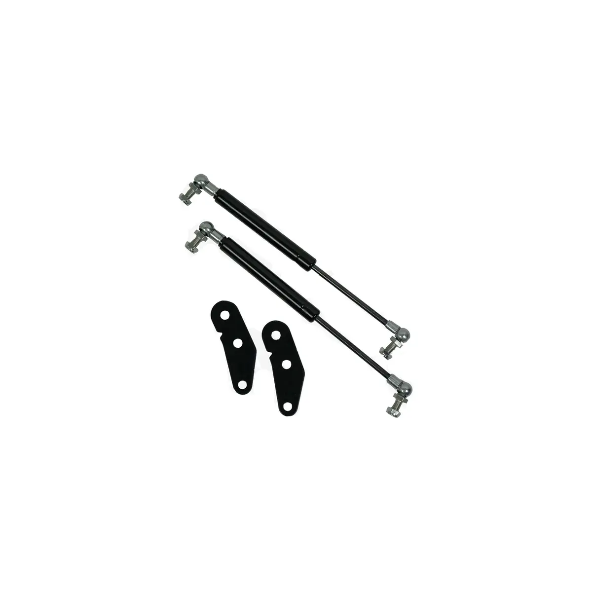 Can Am X3 Door Strut Kit 1