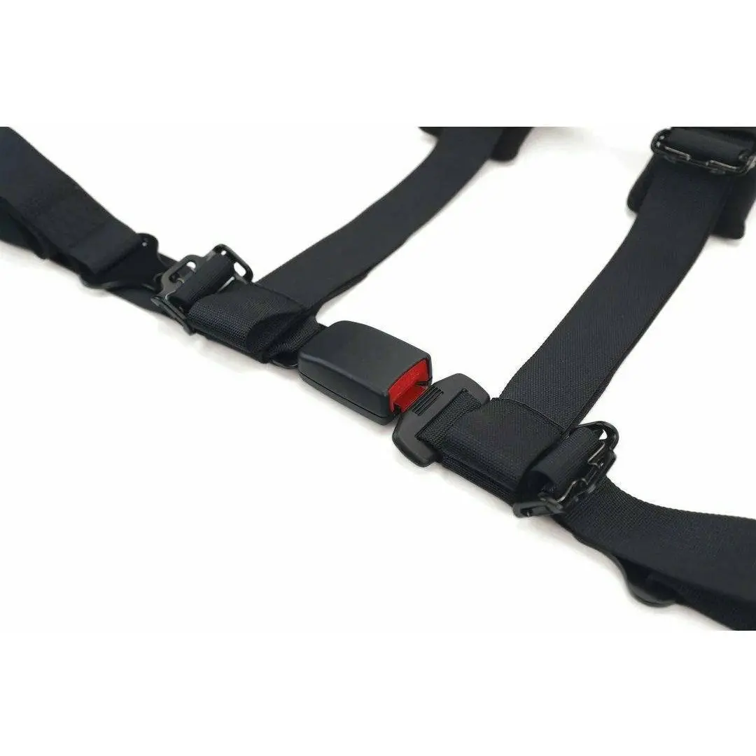 4-Point 2" Auto Latch Utv Harness 2