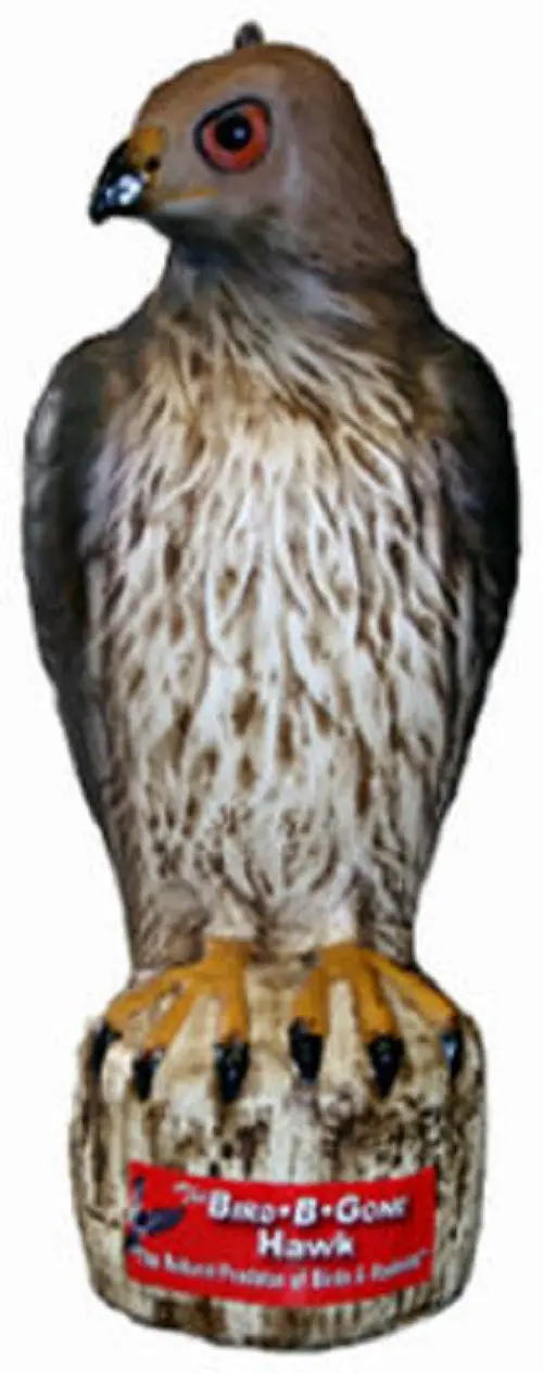 Bird B Gone Mmrth1 Heavy Duty Plastic Hawk Decoy - Quantity Of 1 1